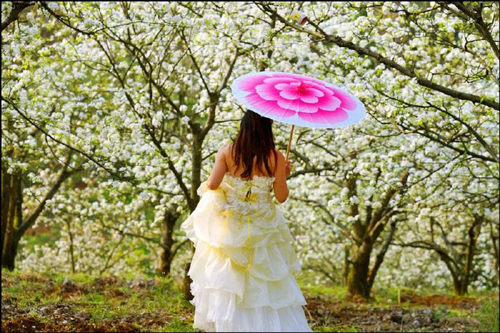 【春天,广西桂林灌阳县向您发出邀请!】我们在灌阳看梨花 - 游山玩水 - 林芝生活社区 - 林芝28生活网 linzhi.28life.com