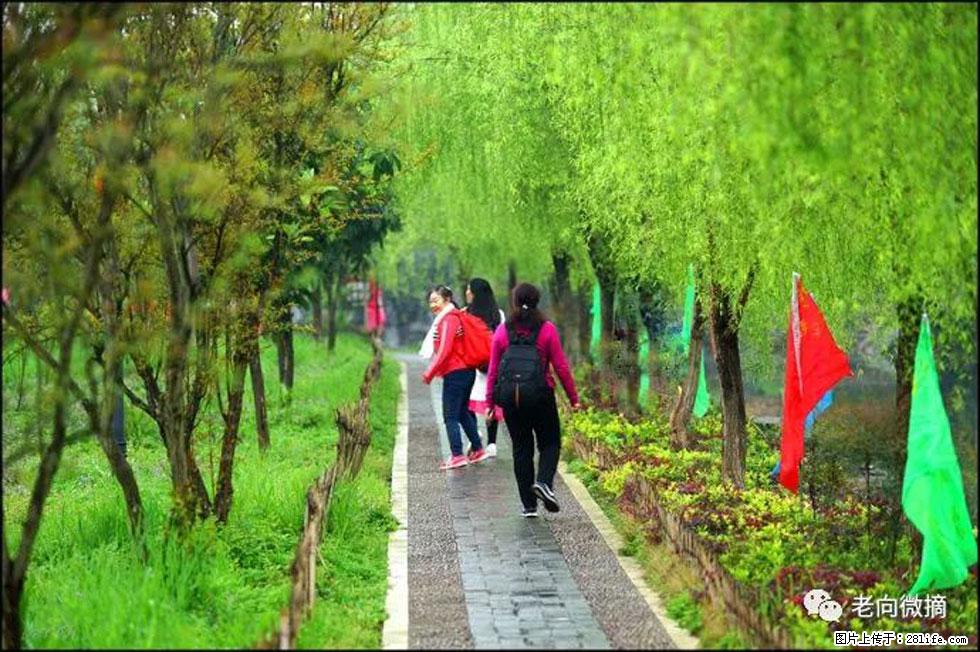 【春天,广西桂林灌阳县向您发出邀请!】江口老街又逢春 - 游山玩水 - 林芝生活社区 - 林芝28生活网 linzhi.28life.com