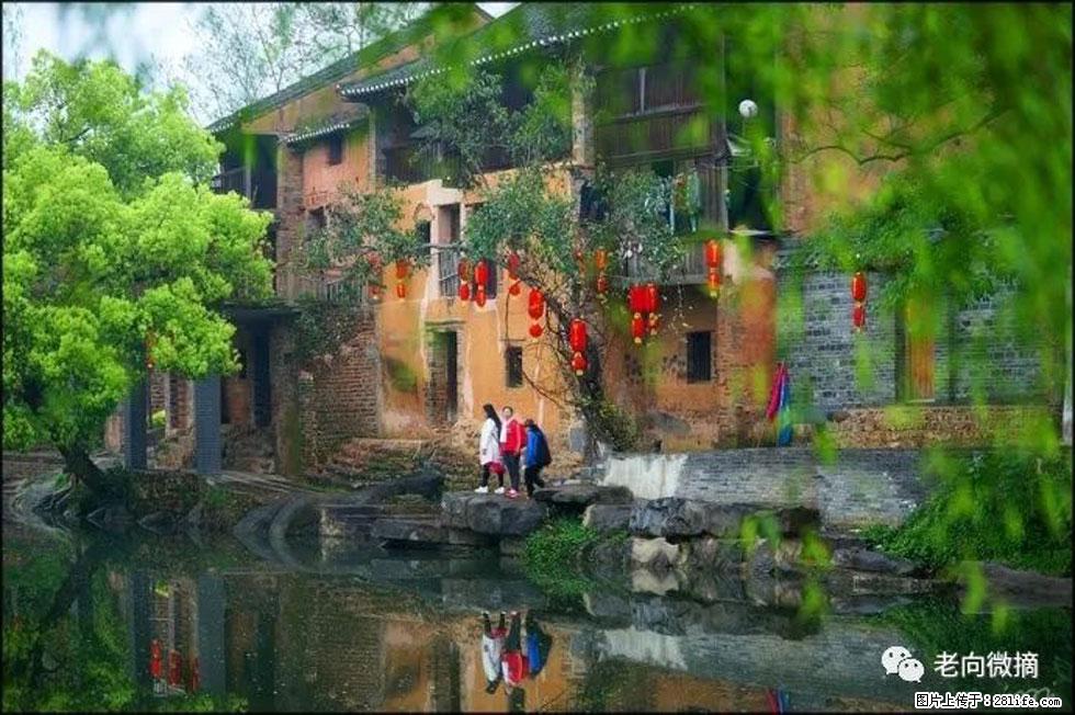 【春天,广西桂林灌阳县向您发出邀请!】江口老街又逢春 - 游山玩水 - 林芝生活社区 - 林芝28生活网 linzhi.28life.com