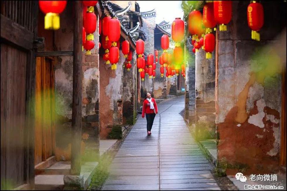 【春天,广西桂林灌阳县向您发出邀请!】江口老街又逢春 - 游山玩水 - 林芝生活社区 - 林芝28生活网 linzhi.28life.com