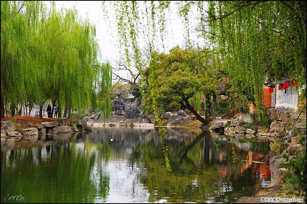 【春天,广西桂林灌阳县向您发出邀请!】江口老街又逢春 - 游山玩水 - 林芝生活社区 - 林芝28生活网 linzhi.28life.com