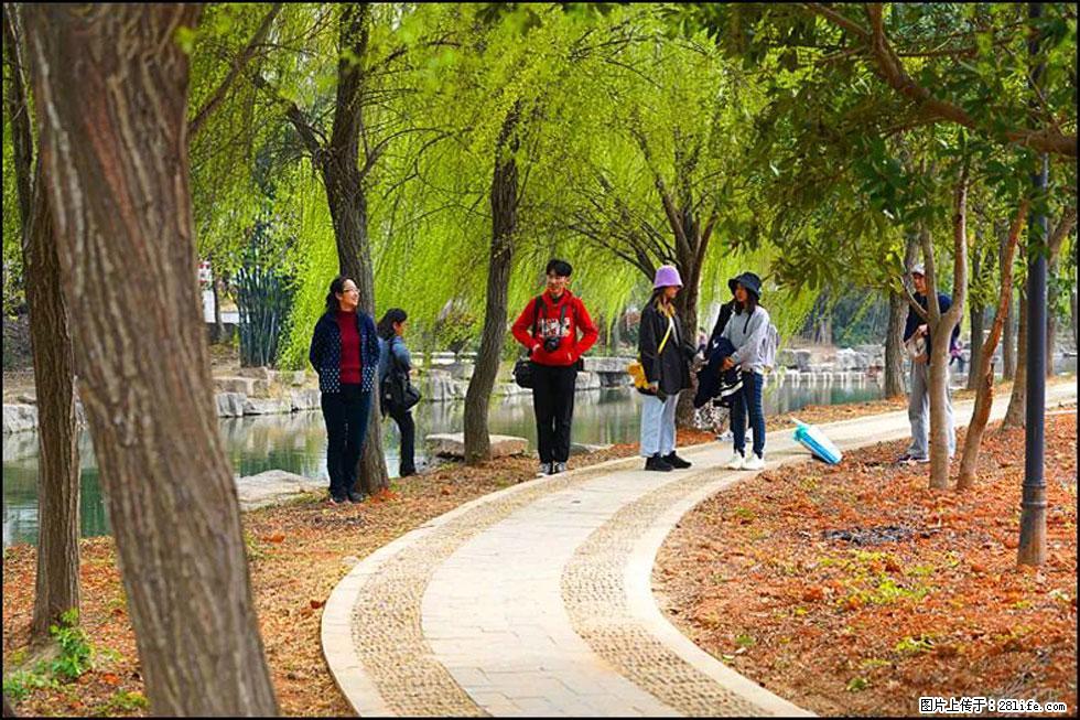 【春天,广西桂林灌阳县向您发出邀请!】江口老街又逢春 - 游山玩水 - 林芝生活社区 - 林芝28生活网 linzhi.28life.com