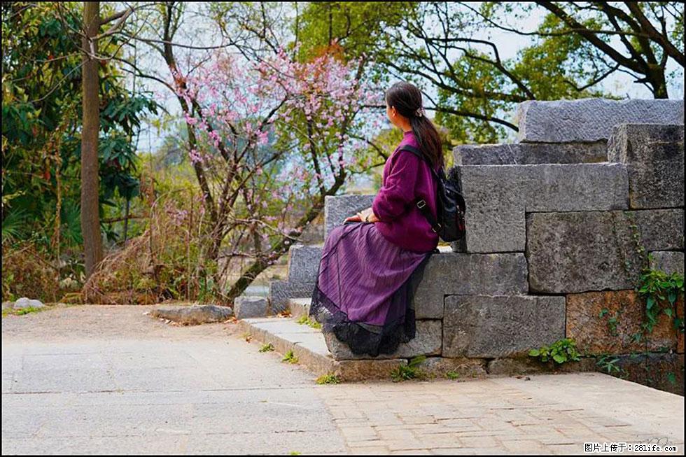 【春天,广西桂林灌阳县向您发出邀请!】江口老街又逢春 - 游山玩水 - 林芝生活社区 - 林芝28生活网 linzhi.28life.com