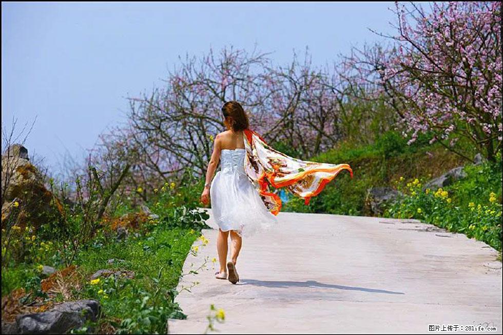 【春天,广西桂林灌阳县向您发出邀请!】望月岭上桃花开 - 游山玩水 - 林芝生活社区 - 林芝28生活网 linzhi.28life.com