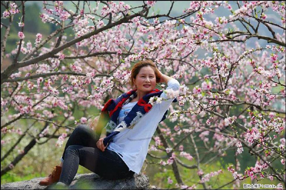 【春天,广西桂林灌阳县向您发出邀请!】望月岭上桃花开 - 游山玩水 - 林芝生活社区 - 林芝28生活网 linzhi.28life.com
