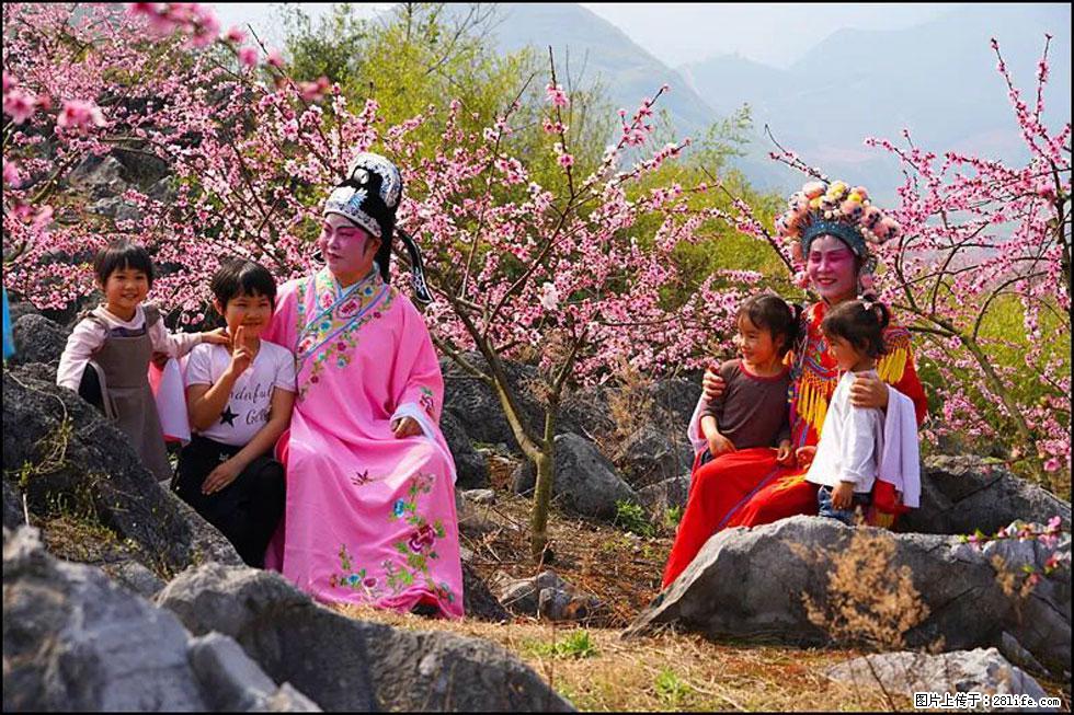 【春天,广西桂林灌阳县向您发出邀请!】望月岭上桃花开 - 游山玩水 - 林芝生活社区 - 林芝28生活网 linzhi.28life.com
