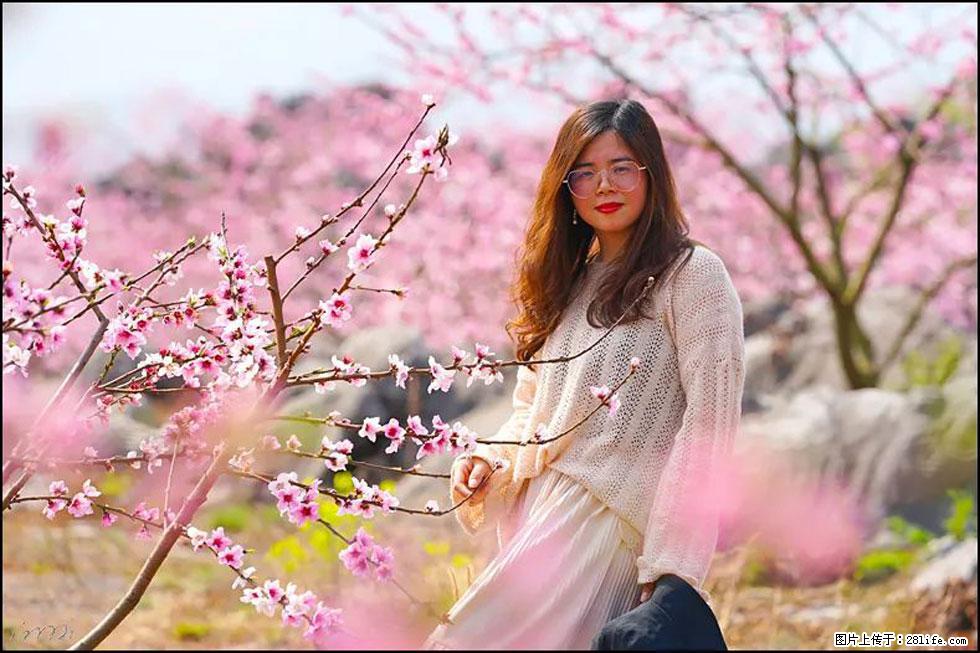 【春天,广西桂林灌阳县向您发出邀请!】望月岭上桃花开 - 游山玩水 - 林芝生活社区 - 林芝28生活网 linzhi.28life.com