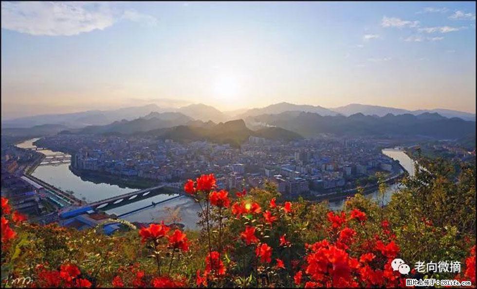 【春天,广西桂林灌阳县向您发出邀请!】登麒麟山,相约映山红 - 游山玩水 - 林芝生活社区 - 林芝28生活网 linzhi.28life.com