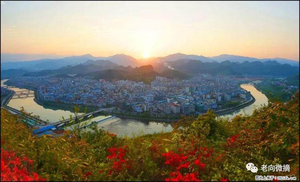 【春天,广西桂林灌阳县向您发出邀请!】登麒麟山,相约映山红 - 游山玩水 - 林芝生活社区 - 林芝28生活网 linzhi.28life.com