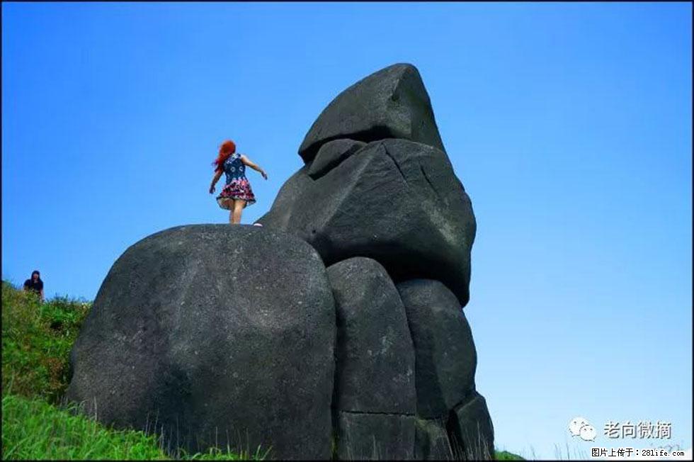 【春天,广西桂林灌阳县向您发出邀请!】宝盖山上映山红 - 游山玩水 - 林芝生活社区 - 林芝28生活网 linzhi.28life.com