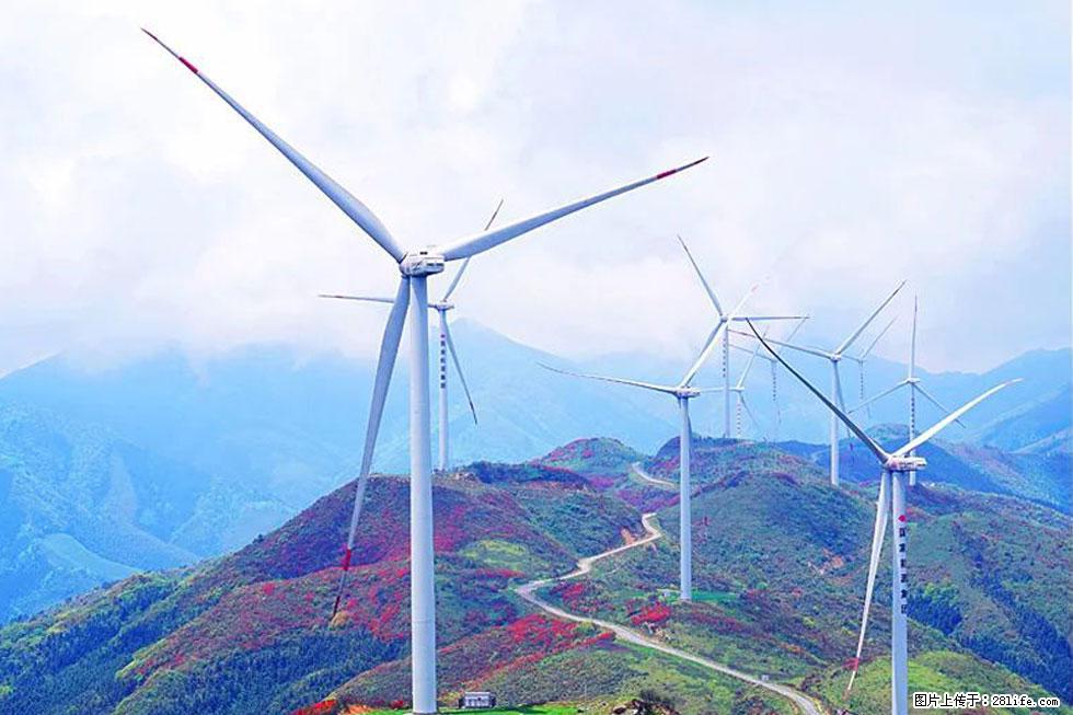 【春天,广西桂林灌阳县向您发出邀请!】春木界上映山红 - 游山玩水 - 林芝生活社区 - 林芝28生活网 linzhi.28life.com