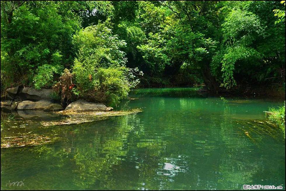 【春天,广西桂林灌阳县向您发出邀请!】如梦似幻莲溪庐 - 游山玩水 - 林芝生活社区 - 林芝28生活网 linzhi.28life.com