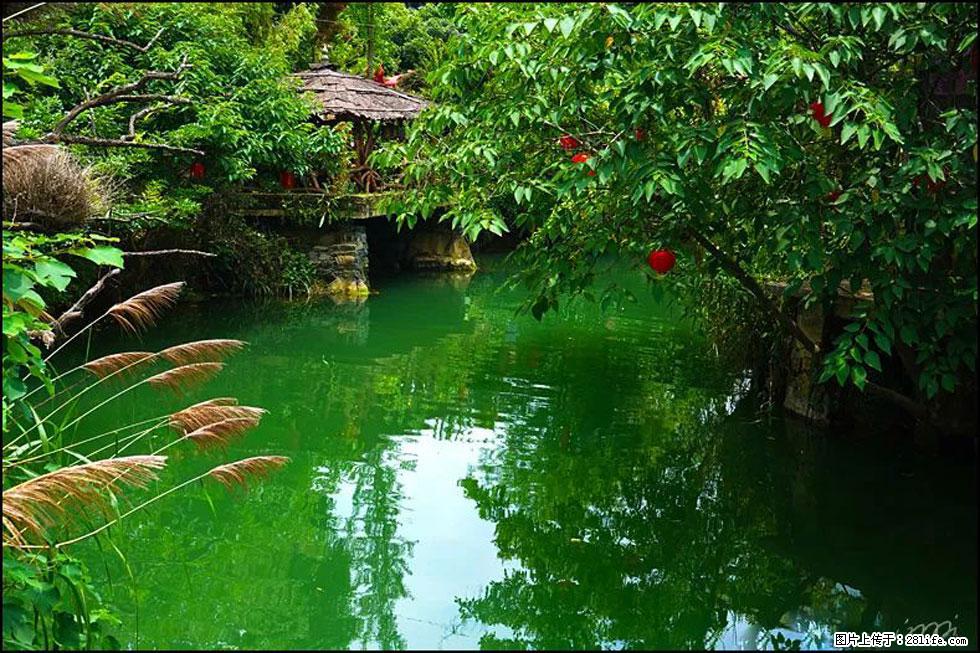 【春天,广西桂林灌阳县向您发出邀请!】如梦似幻莲溪庐 - 游山玩水 - 林芝生活社区 - 林芝28生活网 linzhi.28life.com