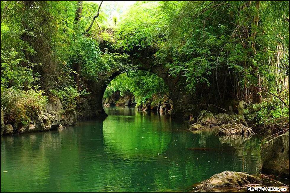 【春天,广西桂林灌阳县向您发出邀请!】如梦似幻莲溪庐 - 游山玩水 - 林芝生活社区 - 林芝28生活网 linzhi.28life.com