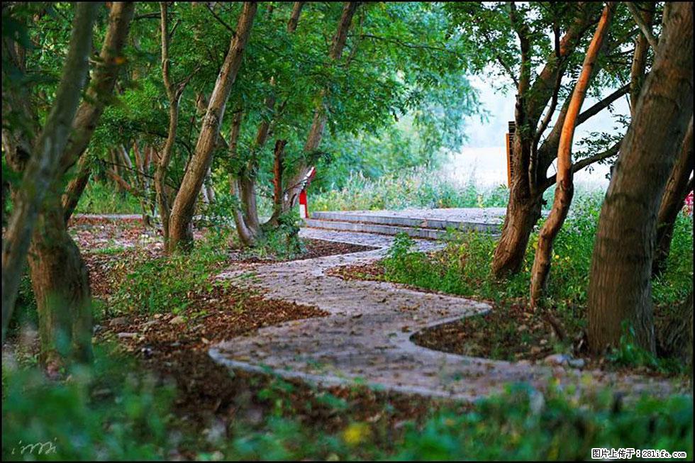 【春天,广西桂林灌阳县向您发出邀请!】熊家寨湿地公园 - 游山玩水 - 林芝生活社区 - 林芝28生活网 linzhi.28life.com