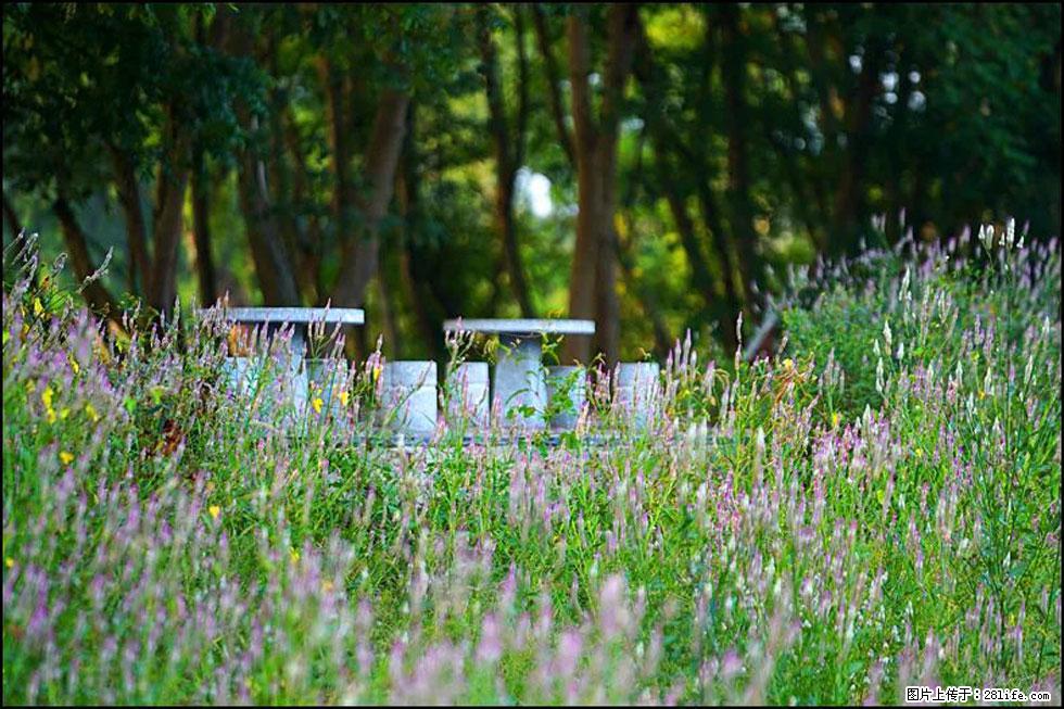 【春天,广西桂林灌阳县向您发出邀请!】熊家寨湿地公园 - 游山玩水 - 林芝生活社区 - 林芝28生活网 linzhi.28life.com