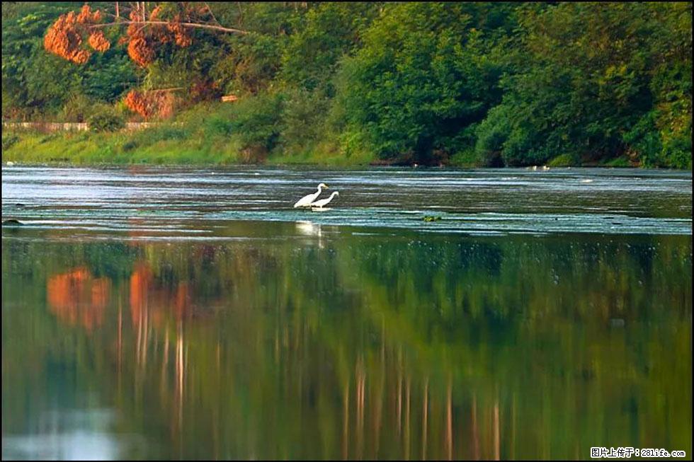 【春天,广西桂林灌阳县向您发出邀请!】熊家寨湿地公园 - 游山玩水 - 林芝生活社区 - 林芝28生活网 linzhi.28life.com