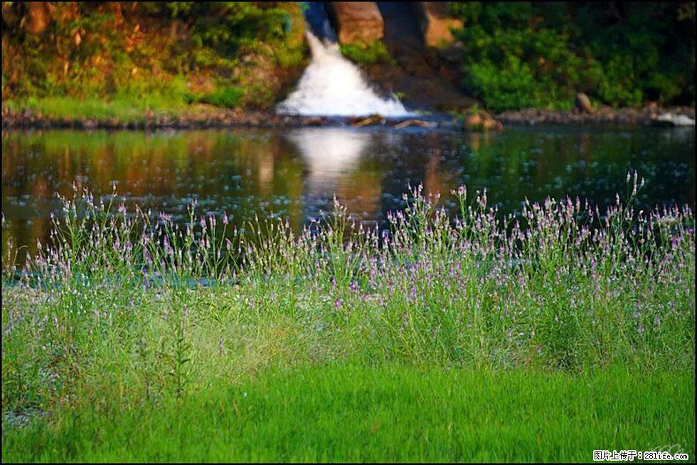 【春天,广西桂林灌阳县向您发出邀请!】熊家寨湿地公园 - 游山玩水 - 林芝生活社区 - 林芝28生活网 linzhi.28life.com