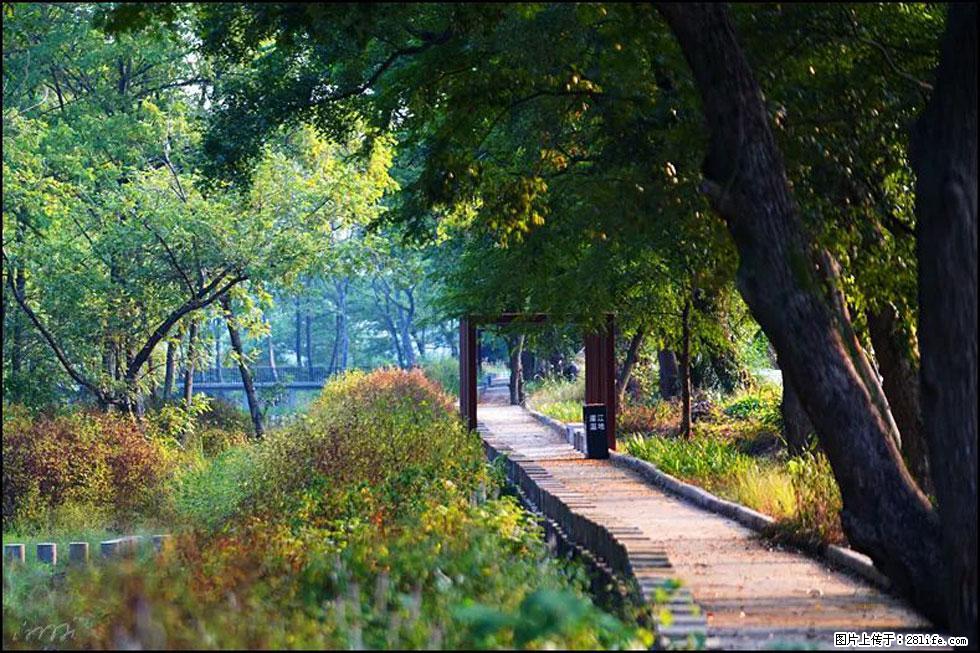 【春天,广西桂林灌阳县向您发出邀请!】熊家寨湿地公园 - 游山玩水 - 林芝生活社区 - 林芝28生活网 linzhi.28life.com