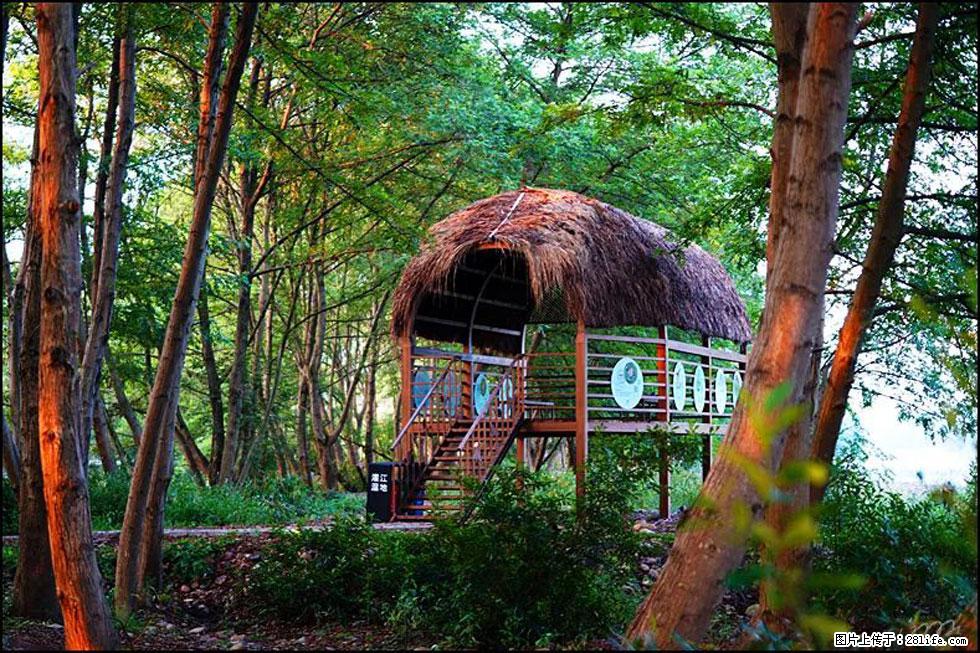 【春天,广西桂林灌阳县向您发出邀请!】熊家寨湿地公园 - 游山玩水 - 林芝生活社区 - 林芝28生活网 linzhi.28life.com