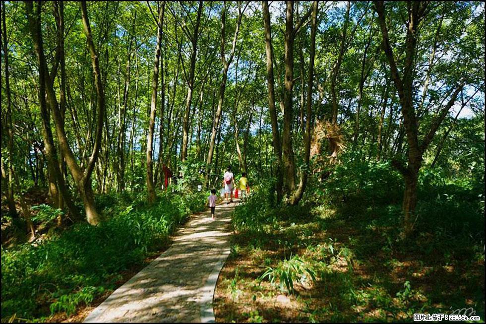 【春天,广西桂林灌阳县向您发出邀请!】熊家寨湿地公园 - 游山玩水 - 林芝生活社区 - 林芝28生活网 linzhi.28life.com