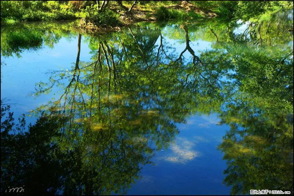 【春天,广西桂林灌阳县向您发出邀请!】熊家寨湿地公园 - 游山玩水 - 林芝生活社区 - 林芝28生活网 linzhi.28life.com