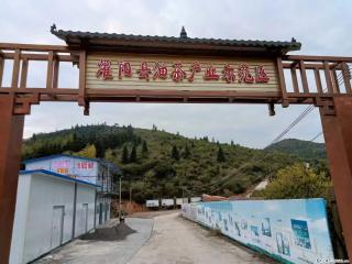 【灌阳县油茶产业示范区】一个有着充实的精神生活的人，对待身外之物自会有一种淡泊的态度 - 林芝28生活网 linzhi.28life.com