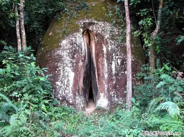 让人脸红的流氓景点,大自然真的有点色 - 灌水专区 - 林芝生活社区 - 林芝28生活网 linzhi.28life.com
