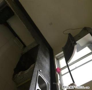 林芝 别墅整体出租超值 - 林芝28生活网 linzhi.28life.com