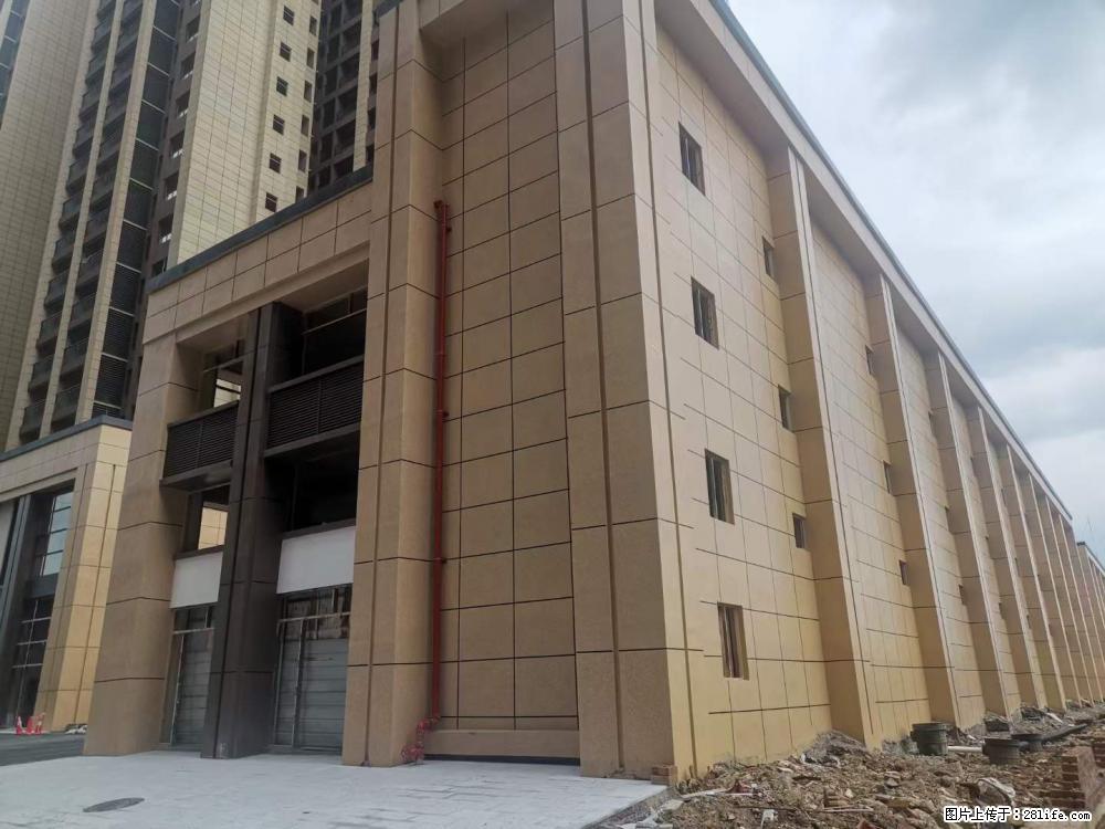 【广西三象建筑安装工程有限公司】外墙涂料工程 - 新手上路 - 林芝生活社区 - 林芝28生活网 linzhi.28life.com