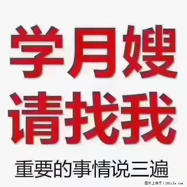 【招聘】月嫂,上海徐汇区 - 职场交流 - 林芝生活社区 - 林芝28生活网 linzhi.28life.com