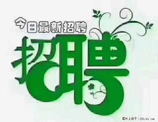 上海青浦区招仓管 - 林芝28生活网 linzhi.28life.com