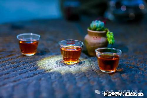 时间果百年古树2025年春红茶 - 购物交流 - 林芝生活社区 - 林芝28生活网 linzhi.28life.com