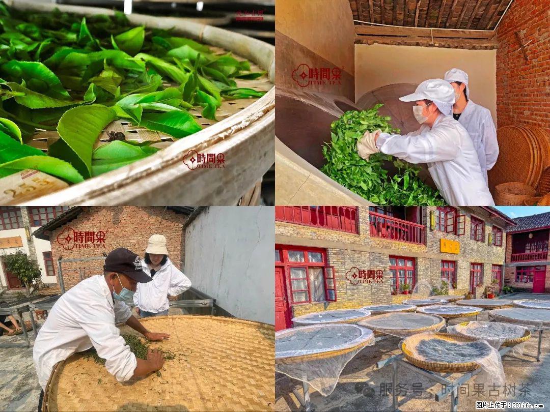 时间果百年古树龙珠普洱生茶 - 购物交流 - 林芝生活社区 - 林芝28生活网 linzhi.28life.com