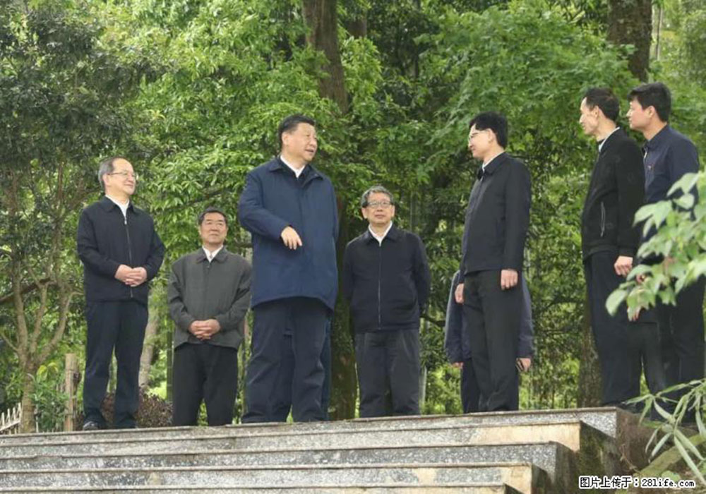 习近平赴广西考察调研 - 林芝生活资讯 - 林芝28生活网 linzhi.28life.com