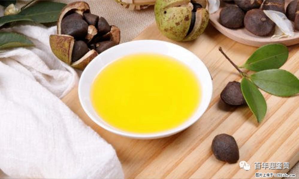揭秘茶油的5大核心营养成分!被称为人体健康的“守护盾”! - 林芝生活资讯 - 林芝28生活网 linzhi.28life.com