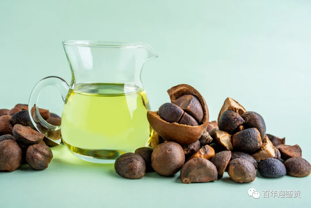 世界没有真相,只有认知,最好的食用油是中国的山茶油! - 林芝生活资讯 - 林芝28生活网 linzhi.28life.com
