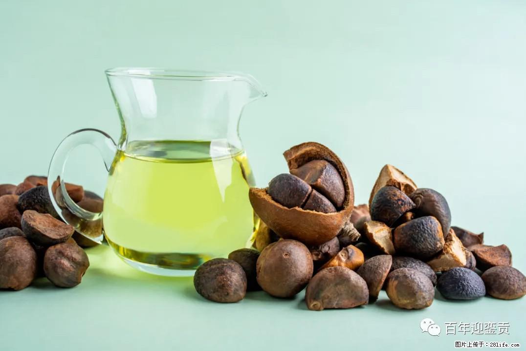 世界没有真相，只有认知，最好的食用油是中国的山茶油！ - 林芝生活资讯 - 林芝28生活网 linzhi.28life.com