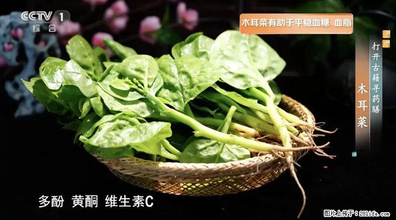 比牛奶补钙还厉害!凉血解毒、稳血糖...这菜冬天必吃,很多人却当草 - 林芝生活资讯 - 林芝28生活网 linzhi.28life.com