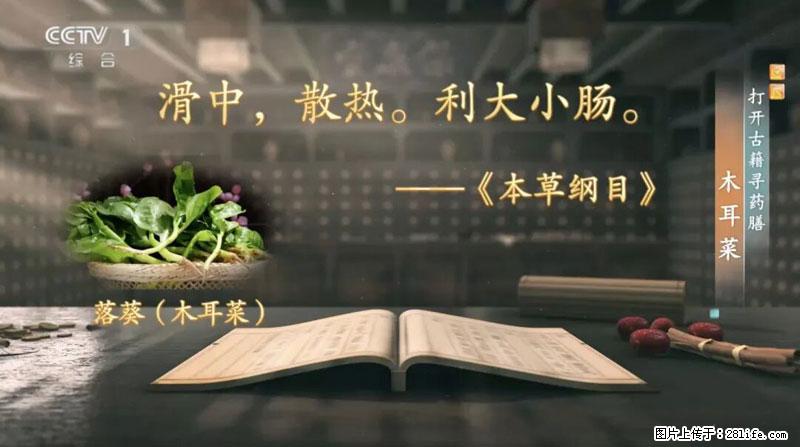 比牛奶补钙还厉害!凉血解毒、稳血糖...这菜冬天必吃,很多人却当草 - 林芝生活资讯 - 林芝28生活网 linzhi.28life.com