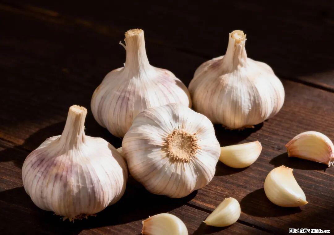 关于大蒜，除了“天然抗生素”，这4个谣言更该警惕! - 林芝生活资讯 - 林芝28生活网 linzhi.28life.com